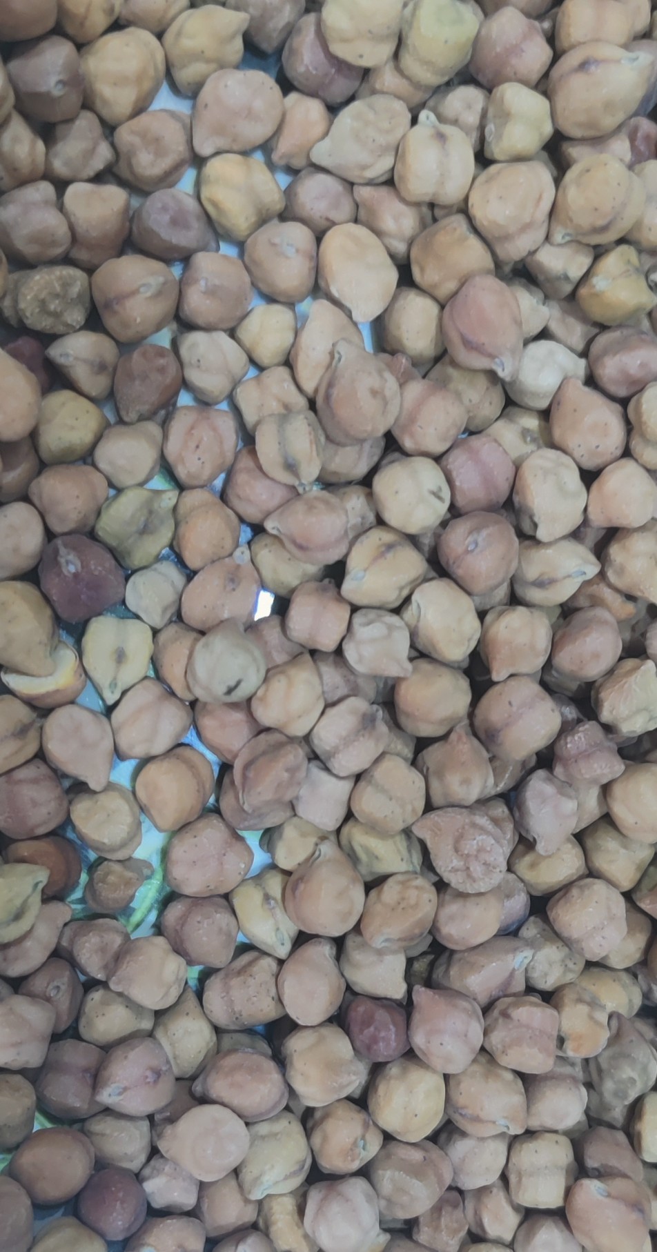 Organic Chickpeas , Bengal grams , Chana